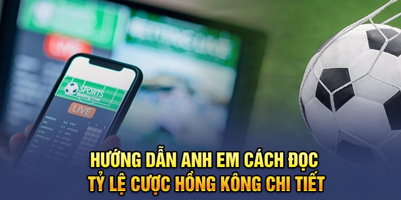 Hướng dẫn anh em cách đọc tỷ lệ cược Hồng Kông chi tiết